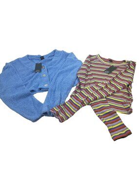 2 Piece Wild Fable Womens Small Blue Crop Sweater And Multicolor Ribbed T-Shirt